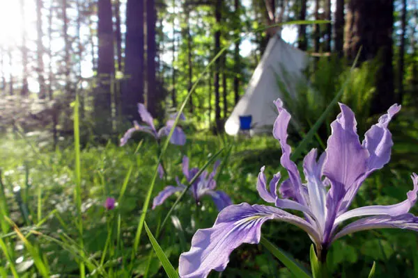 Tipi Village Retreat
