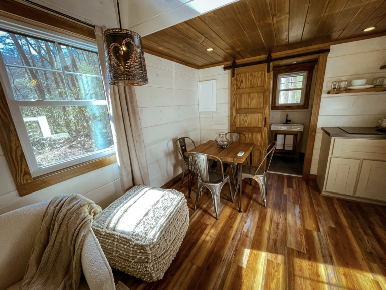 Rooted and Wild Womens Yoga Retreat in Asheville North Carolina photo