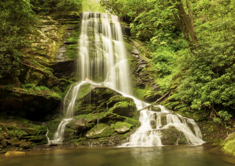 Rooted and Wild Womens Yoga Retreat in Asheville North Carolina photo