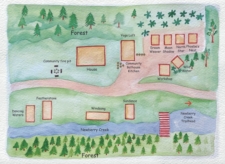 Rooted and Wild Womens Yoga Retreat in Asheville North Carolina photo