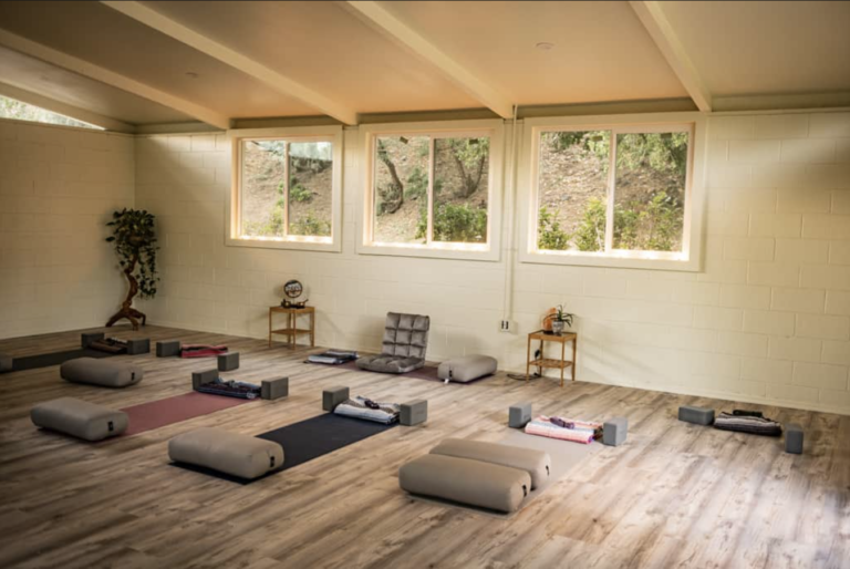 Rooted & Wild Women’s Yoga Retreat in Sedona photo