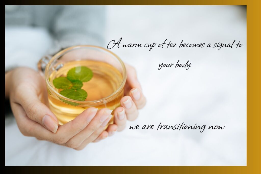 warm cup of herbal tea signals safety to the body and nervous system

