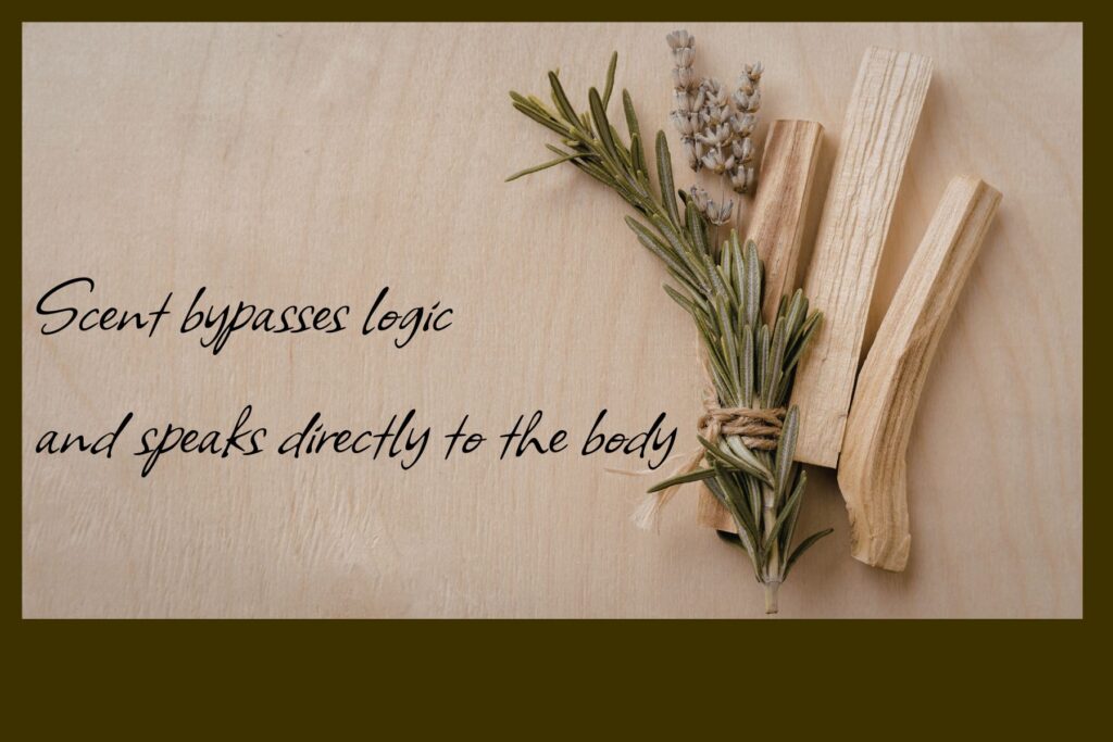 palo santo, rosemary and lavendar aromatic herbs for yoga